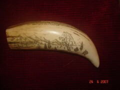 copie--scrimshaw