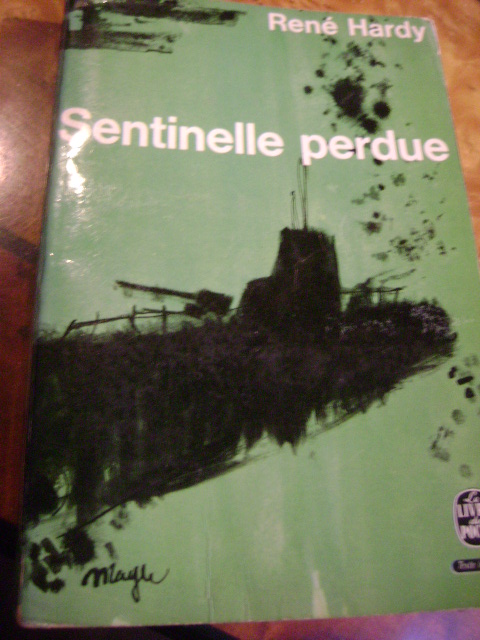 sentinelle-perdue