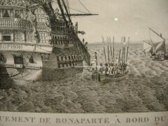 bellerophon_baugean.jpg