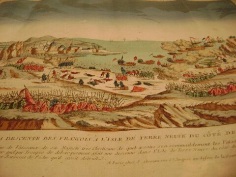 terre-neuve-