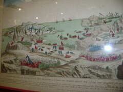 terre-neuve