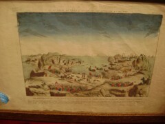 terre-neuve_.jpg