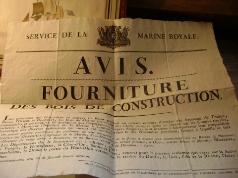 avis-bois
