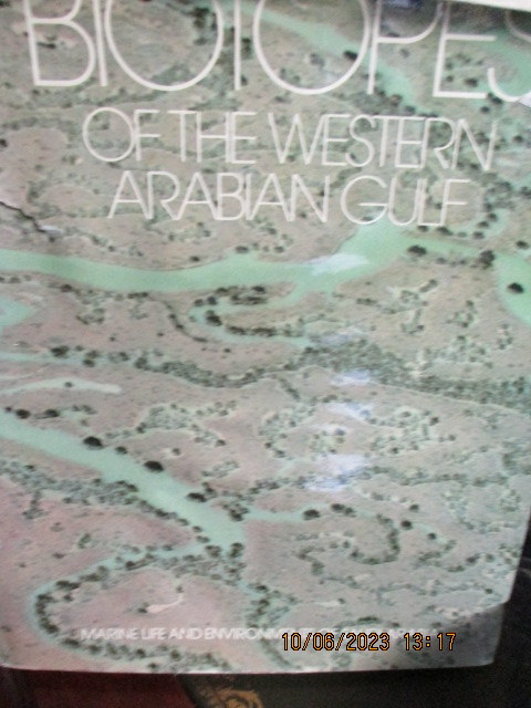 arabian-gulf.JPG