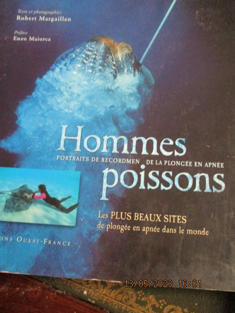 hommes-poissons.JPG