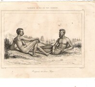tasmanie