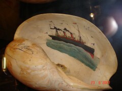 coquillages